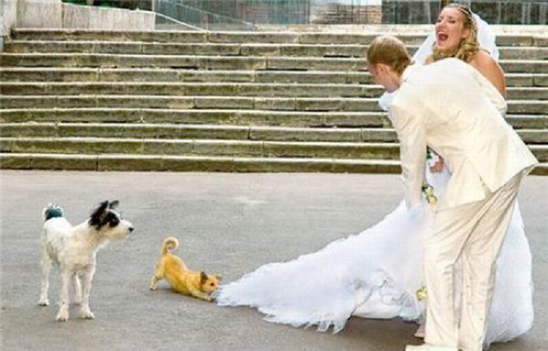 Things That Could Go Wrong On Your Wedding Day
