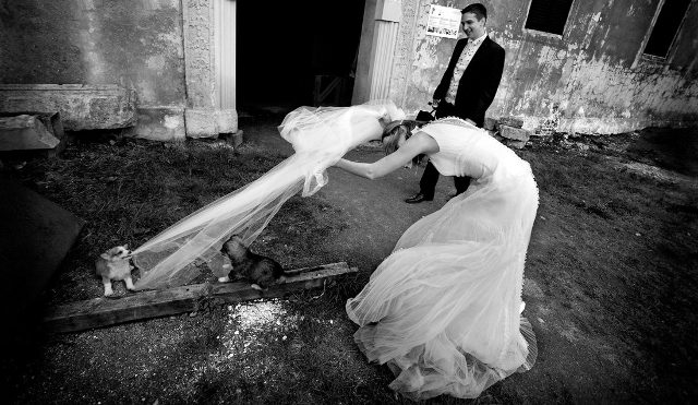 The Craziest And Most Hilarious Wedding Photos You Have Never Seen!