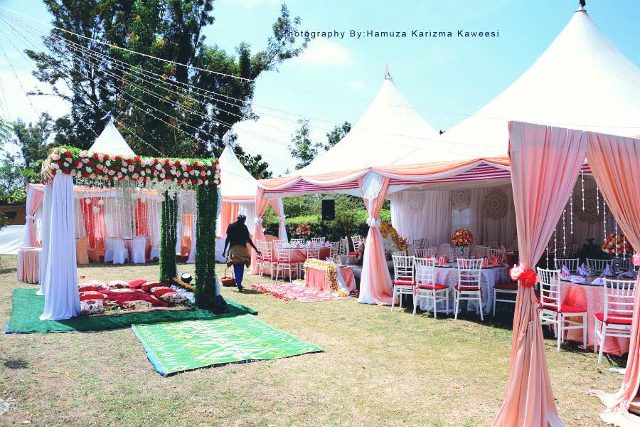 Esther's Introduction Decor