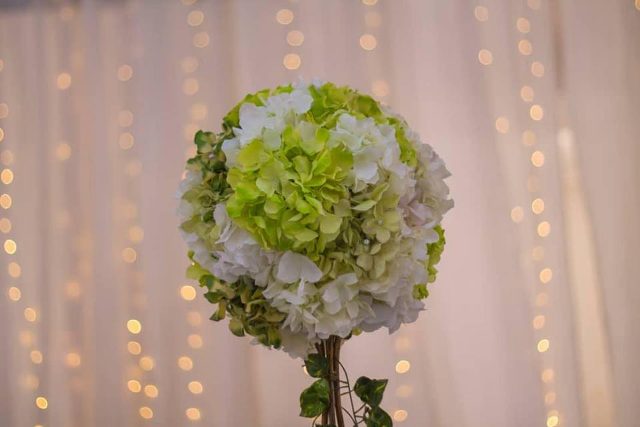 Andrew and Linda's wedding decor