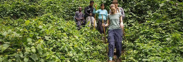 Tristar Africa Skimmer Safaris (Uganda Safaris)