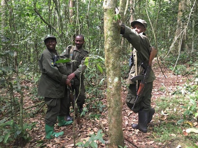 Tour guides in a forest