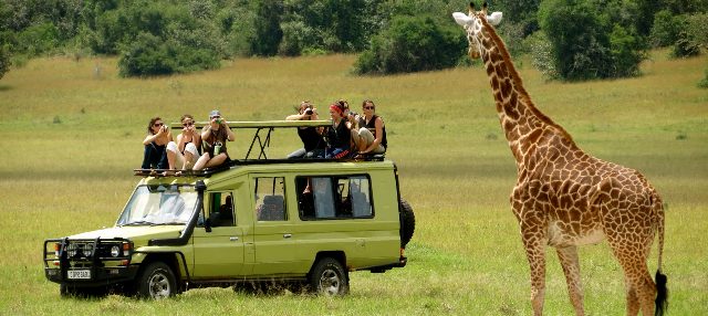 Rent A Car
