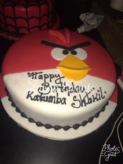 For the angry birds lovers