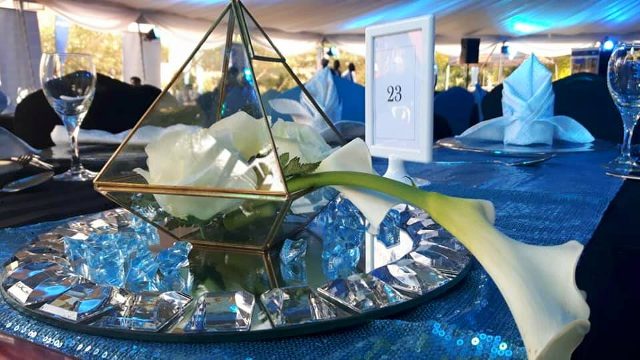 Corporate Fundraisers Decoration By Viable Options